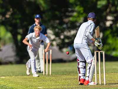 Cricket